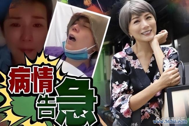 前港姐季军吴文忻于睡梦中离世 勇敢抗癌斗士安宁离去