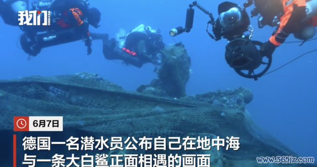 德国一潜水员在地中海拍到大白鲨 荒僻画面具科学价值