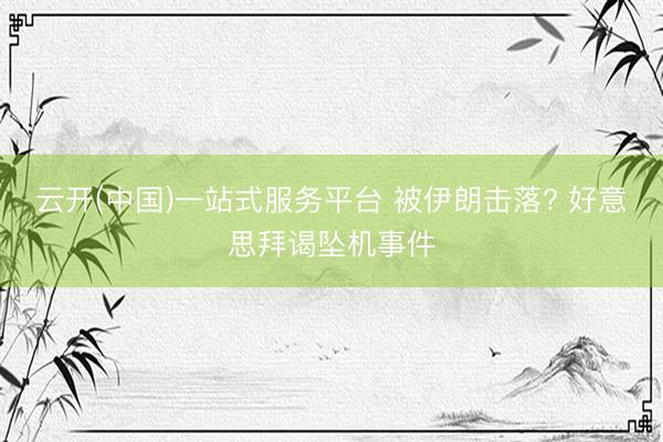 云开(中国)一站式服务平台 被伊朗击落? 好意思拜谒坠机事件