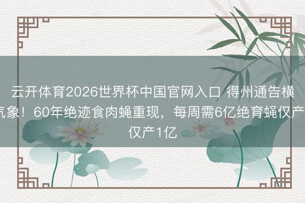 云开体育2026世界杯中国官网入口 得州通告横祸气象！60年绝迹食肉蝇重现，每周需6亿绝育蝇仅产1亿