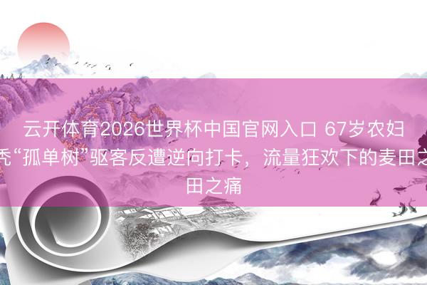 云开体育2026世界杯中国官网入口 67岁农妇砍秃“孤单树”驱客反遭逆向打卡,流量狂欢下的麦田之痛