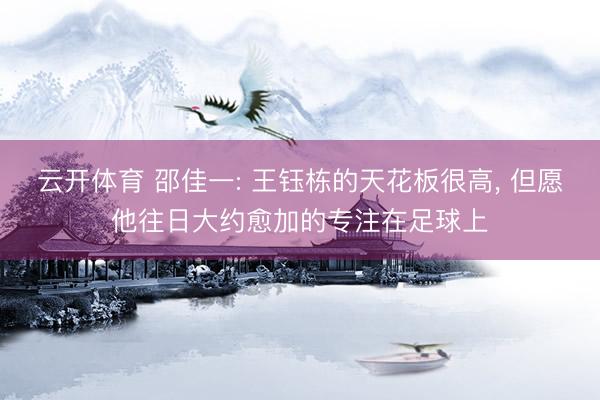云开体育 邵佳一: 王钰栋的天花板很高， 但愿他往日大约愈加的专注在足球上