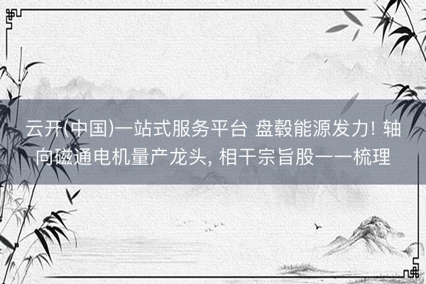 云开(中国)一站式服务平台 盘毂能源发力! 轴向磁通电机量产龙头， 相干宗旨股一一梳理