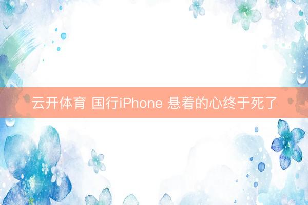 云开体育 国行iPhone 悬着的心终于死了