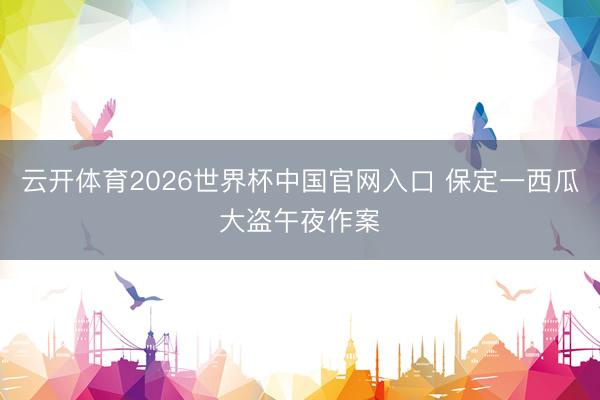 云开体育2026世界杯中国官网入口 保定一西瓜大盗午夜作案