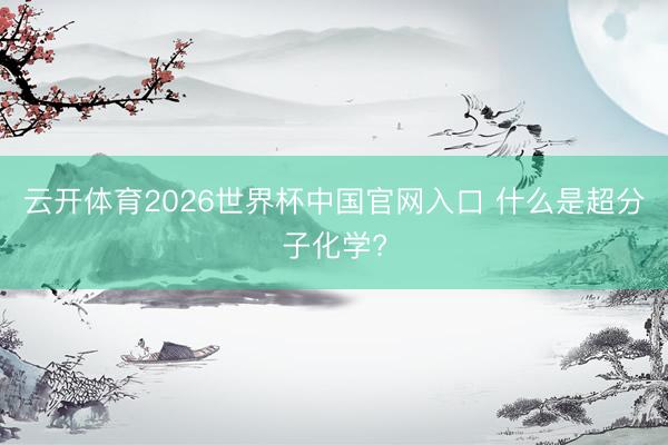 云开体育2026世界杯中国官网入口 什么是超分子化学?