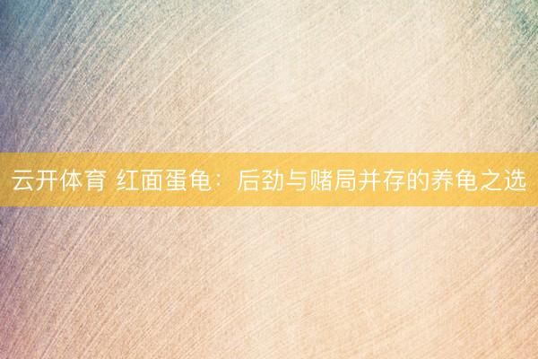 云开体育 红面蛋龟:后劲与赌局并存的养龟之选