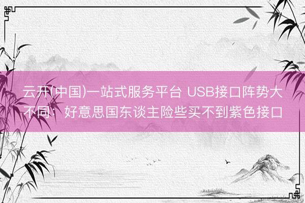 云开(中国)一站式服务平台 USB接口阵势大不同：好意思国东谈主险些买不到紫色接口