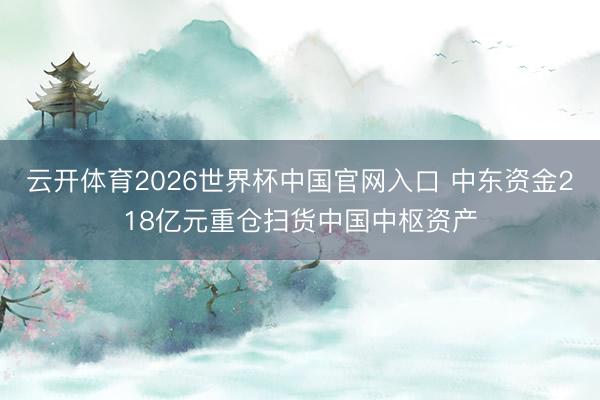 云开体育2026世界杯中国官网入口 中东资金218亿元重仓扫货中国中枢资产
